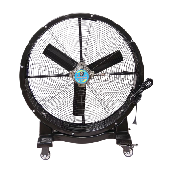 Fan